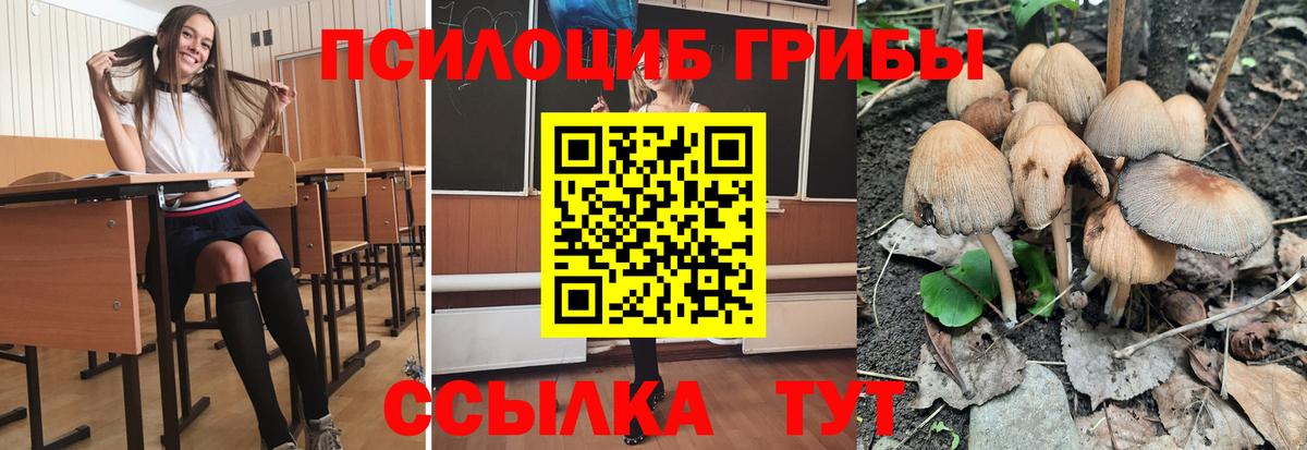 Псилоцибиновые грибы Cubensis  Вход с VPN  Заринск 